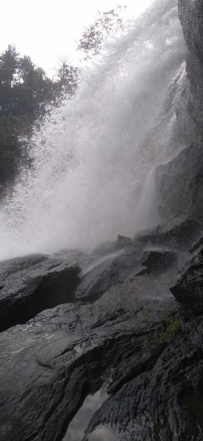 Winterhome Homestay Munnar Esterno foto