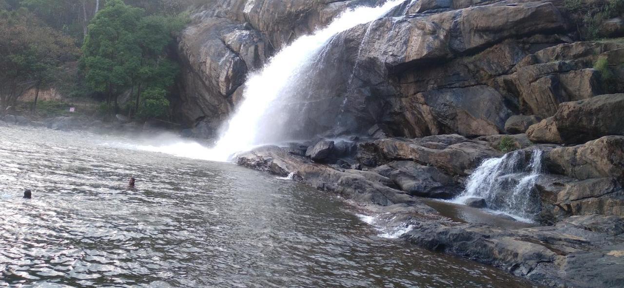 Winterhome Homestay Munnar Esterno foto