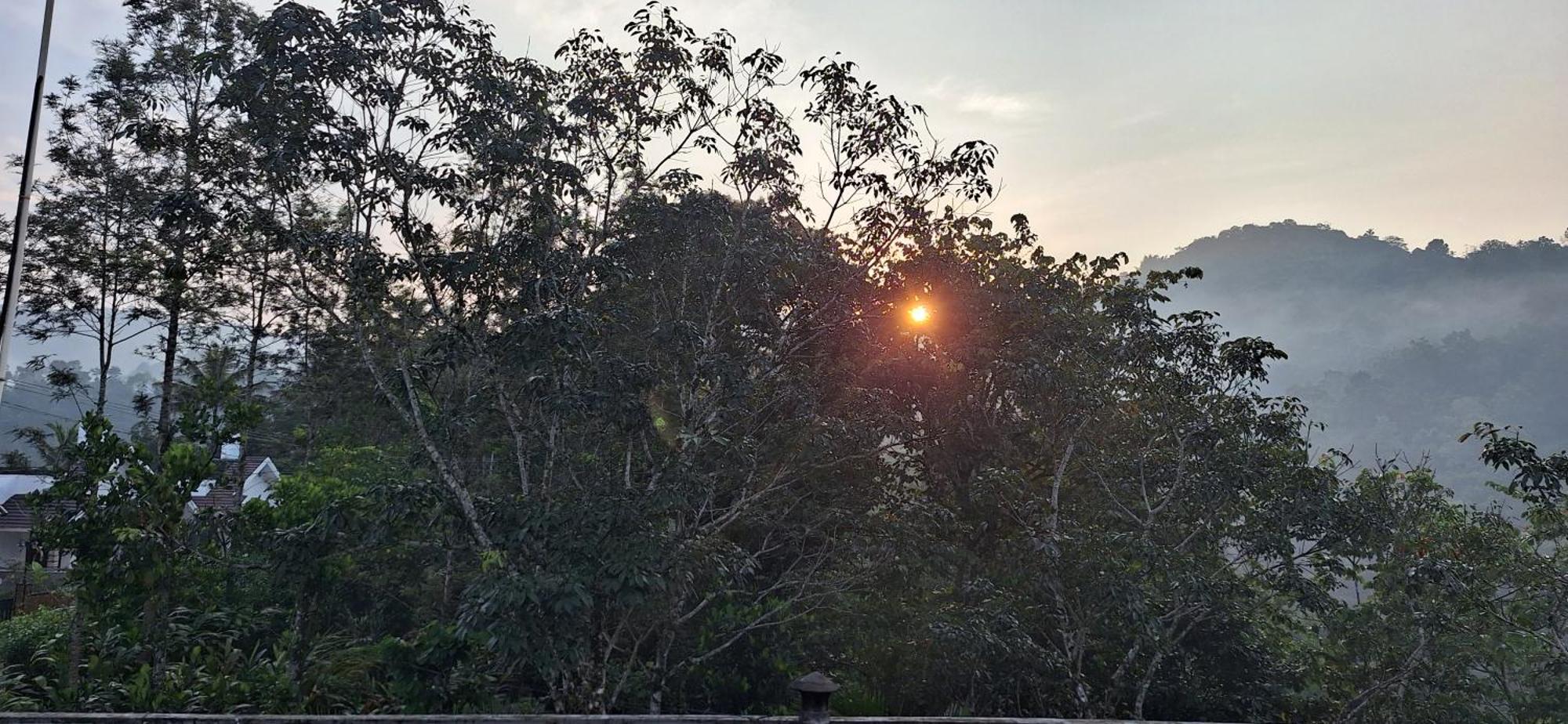 Winterhome Homestay Munnar Esterno foto