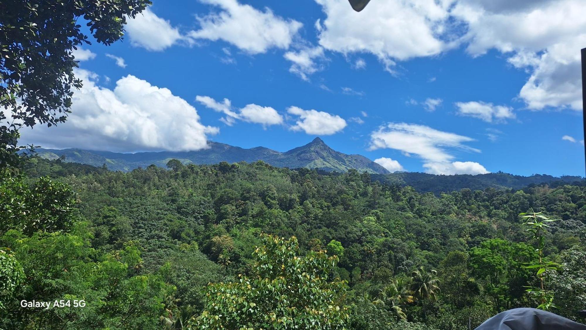 Winterhome Homestay Munnar Camera foto